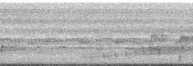 Buff-collared Nightjar - ML86602