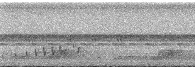 Buff-collared Nightjar - ML86613
