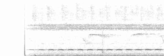 Streifenbrust-Ameisendrossel - ML86704301