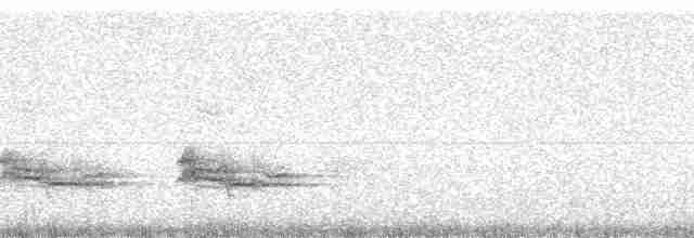 Малый галапагосский вьюрок - ML86707