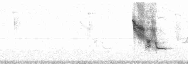 Kleingrundfink - ML86711