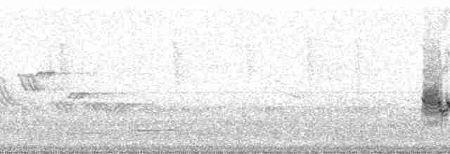 Pinzón de Darwin Fuliginoso - ML86713