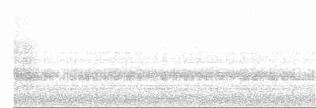 slipeugle (acadicus) - ML86723361