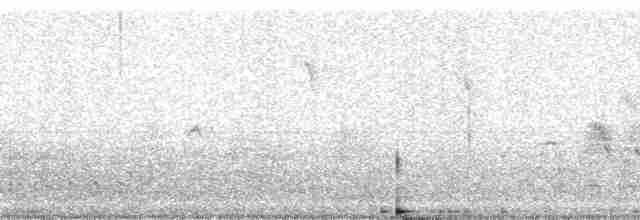 Gray Warbler-Finch - ML86772