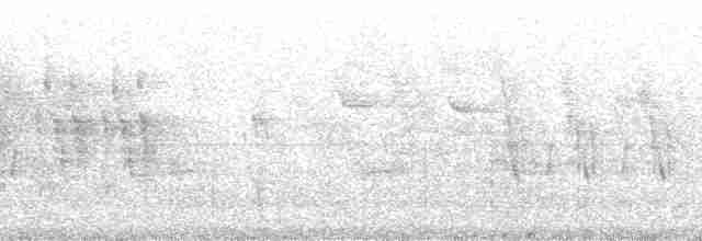Попугаевый дарвинов вьюрок - ML86794
