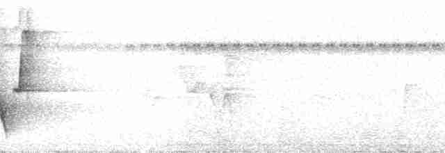 Черноголовый крапивник (nigricapillus/connectens) - ML86812