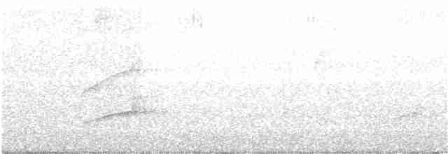 Sarı Karınlı Sinekkapan - ML86819131