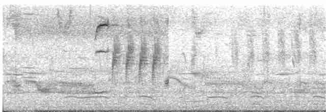 Al Kanatlı Karatavuk (californicus/mailliardorum) - ML87083711