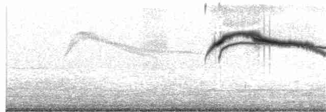 alkoun holubí - ML87115631
