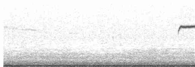 alkoun holubí - ML87115661