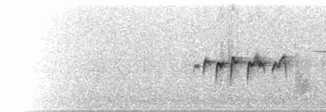  - Collared Bush-Robin