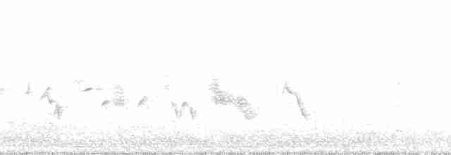 Дятел-смоктун жовточеревий - ML87149