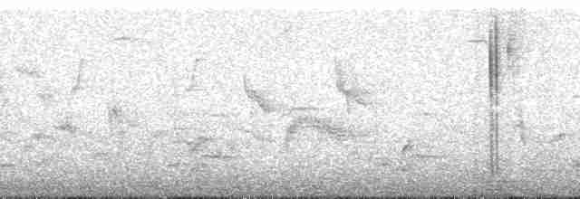 アカハシエメラルドハチドリ（cerviniventris／chalconota） - ML87481
