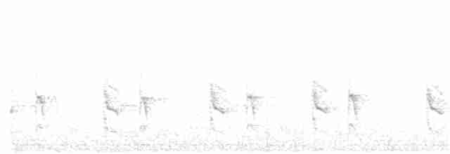 Synallaxe du Roraima - ML87497821