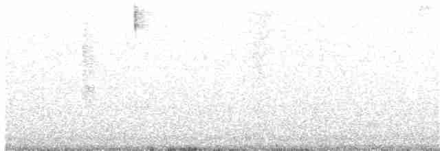 White-eared Ground-Sparrow - ML87525811