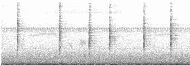 Oriental Reed Warbler - ML87530251