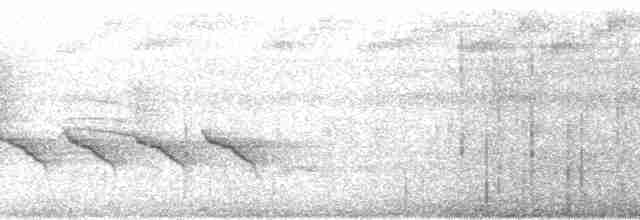 リオデジャネイロヒメモズモドキ（griseiventris／aemulus） - ML87557