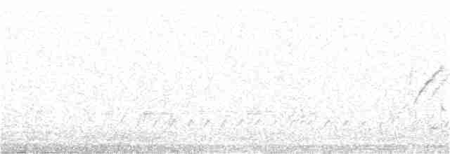 Bulbul à oreillons blancs - ML87582701