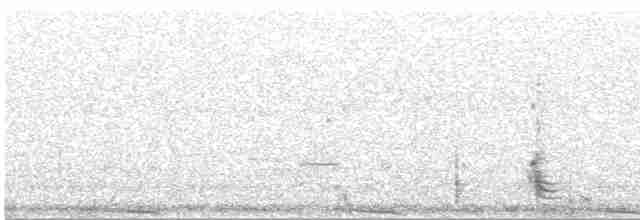 Sharp-tailed Grouse - ML87816911