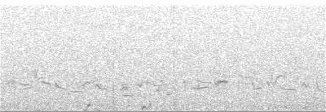 Gunnison Çalı Tavuğu - ML87820151