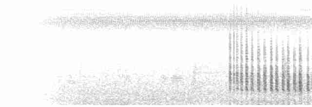 karančo jižní (ssp. cheriway) - ML88061091