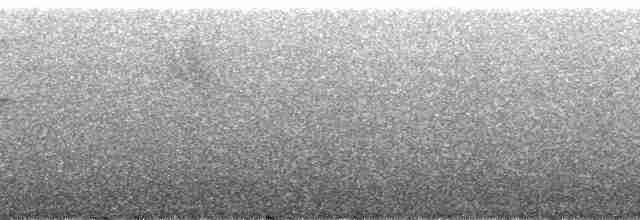 hvitskjegglattertrost - ML88149