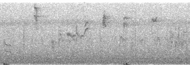 Kestane Karınlı Baştankara - ML88155