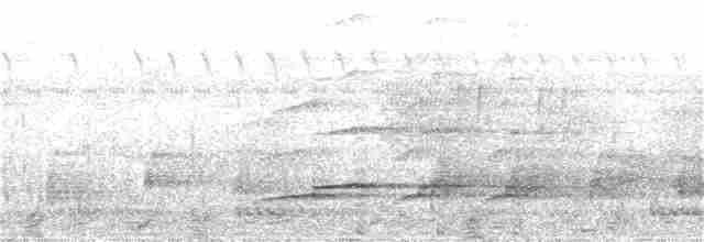 Aigle huppé (cirrhatus/ceylanensis) - ML88186511