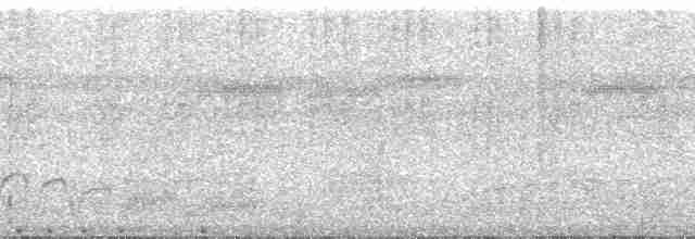 Rotspiegel-Ameisenvogel - ML88234