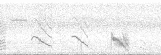 Rotspiegel-Ameisenvogel - ML88235