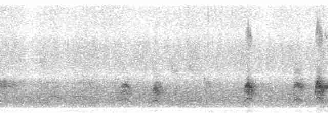 Різжак рудошиїй (підвид rufinucha) - ML8824