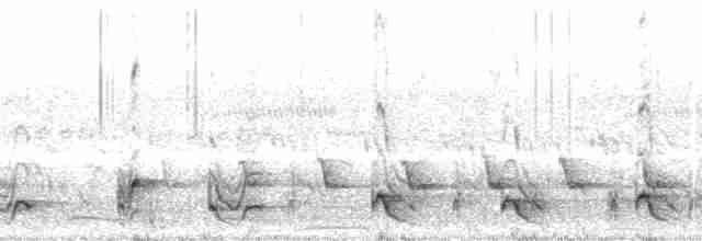 Різжак рудошиїй (підвид rufinucha) - ML8826