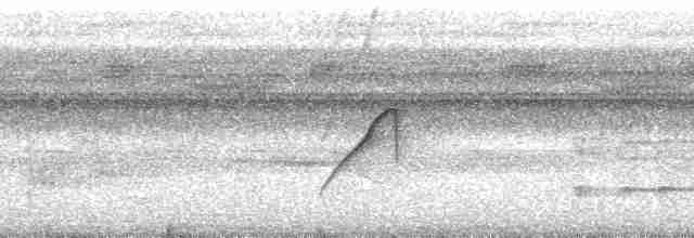 blåkronemanakin (coronata gr.) - ML88331