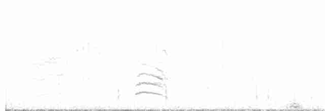 Weißbrustkleiber - ML88337141