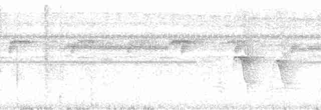 Uzun Gagalı Bitkuşu [melanurus grubu] - ML88400
