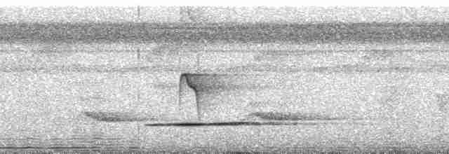 Cinereous Tinamou - ML88549