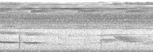 Дереволаз-довгохвіст великий [група pallida] - ML88555