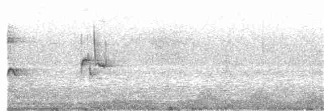 Патагонский овсяночник - ML88555391
