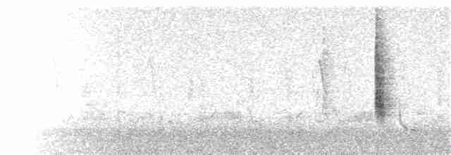 Common Yellowthroat - ML88557141