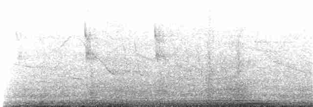 Colibri géant - ML88594751