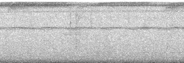 lenivka šedolící - ML88602