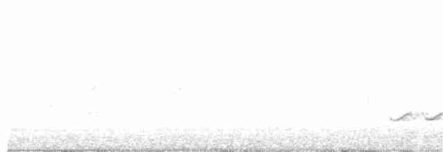 Weißbrustkleiber (aculeata/alexandrae) - ML88756781