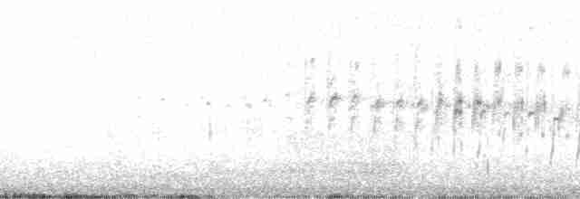 rorýs bělohrdlý - ML88763
