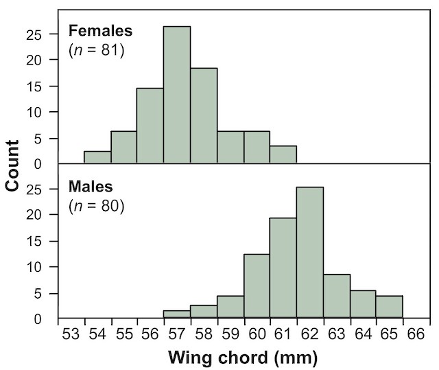Figure 1. Frequency distribution of wing chord for female and male Slate-throated Redstarts. -  - 