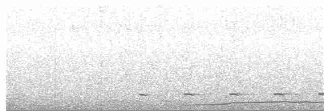 Гологлазый голубь - ML88791531