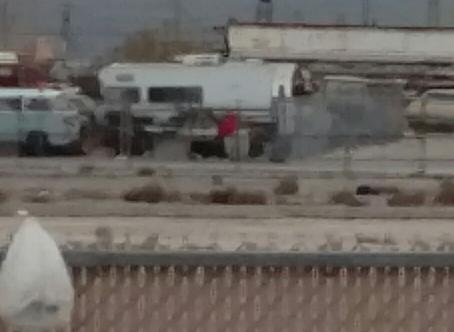 eBird Checklist 7 Mar 2018 Nellis AFB (Private) 7 species