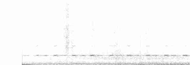 Chevêchette australe - ML88842301