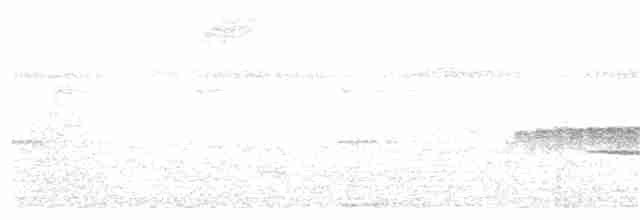Dreibinden-Ameisenvogel - ML88848891