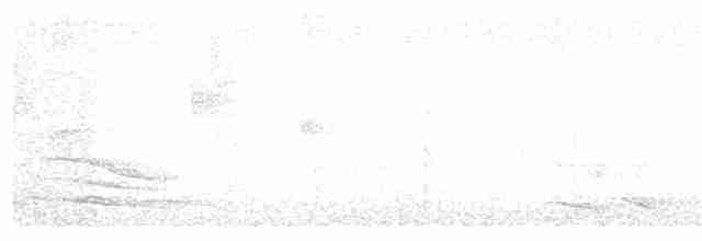 Hochland-Ameisenschlüpfer - ML88848961