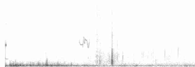Great Gray Shrike (Indian) - ML88861811